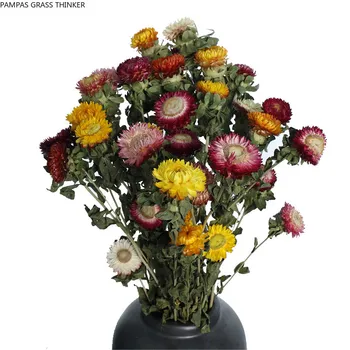 10 adet Karışık olor Kurutulmuş Çiçekler Pute Nutral Strawflower Demet Ev Dekor İçin