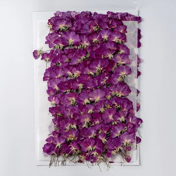 250 adet Preslenmiş Kurutulmuş Çiçek Mor Gül Herbaryum yüz makyajı Tırnak Sanat Takı İmi telefon kılıfı Kartı DIY