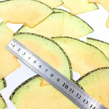5 adet Kurutulmuş Preslenmiş Mini Meyve Hami kavun Dilimleri Bitki Herbaryum Takı Fotoğraf Çerçevesi telefon kılıfı İmi DIY