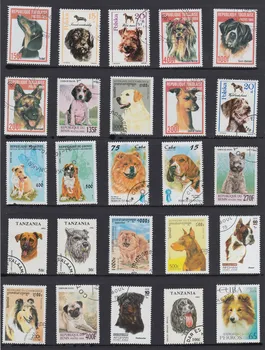 50 Adet / paket Köpek Çoban Köpeği Pet Tüm Farklı Birçok Ülkeden Tekrar Kullanılmayan Posta Pulları Toplamak için