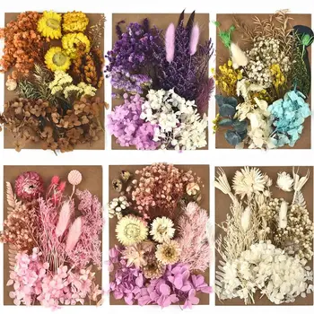 DIY Gerçek Kurutulmuş Çiçek Reçine Kalıp Dolgu UV Epoksi Çiçek Epoksi Reçine Kalıpları Takı Yapımı El Sanatları DIY Aksesuarları