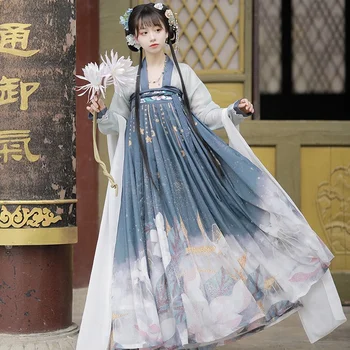 Hanfu, Göğüs boyu Etek, Antik Kostüm, Çin Tarzı Sahne Performansı Kostüm, Çin Geleneksel Kostüm Vestido