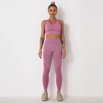 Kadınlar Dikişsiz Spor egzersiz kıyafetleri Eşofman Spor Spor Yoga Sutyen Ve pantolon seti Giyim Spor Kıyafeti