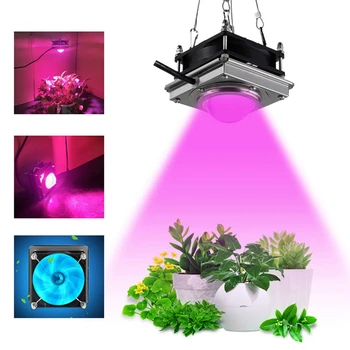 LED bitki ışık Cob tam spektrum bitki ışık büyüme ışığı kapalı bitkiler etli çiçek dolgu ışığı, İNGİLTERE Tak