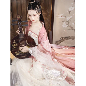 LouLan Miyin Çin Nakış Büyük Gömlek Epleated Etek Song Hanedanı Hanfu Sling Kadın Bahar dans kostümü Elbise Seti