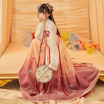 xiaodoukou'er [Yulu Sushan] işlemeli hırka, tek parça pilili etek, işlemeli Tang hanedanı kadın giyim